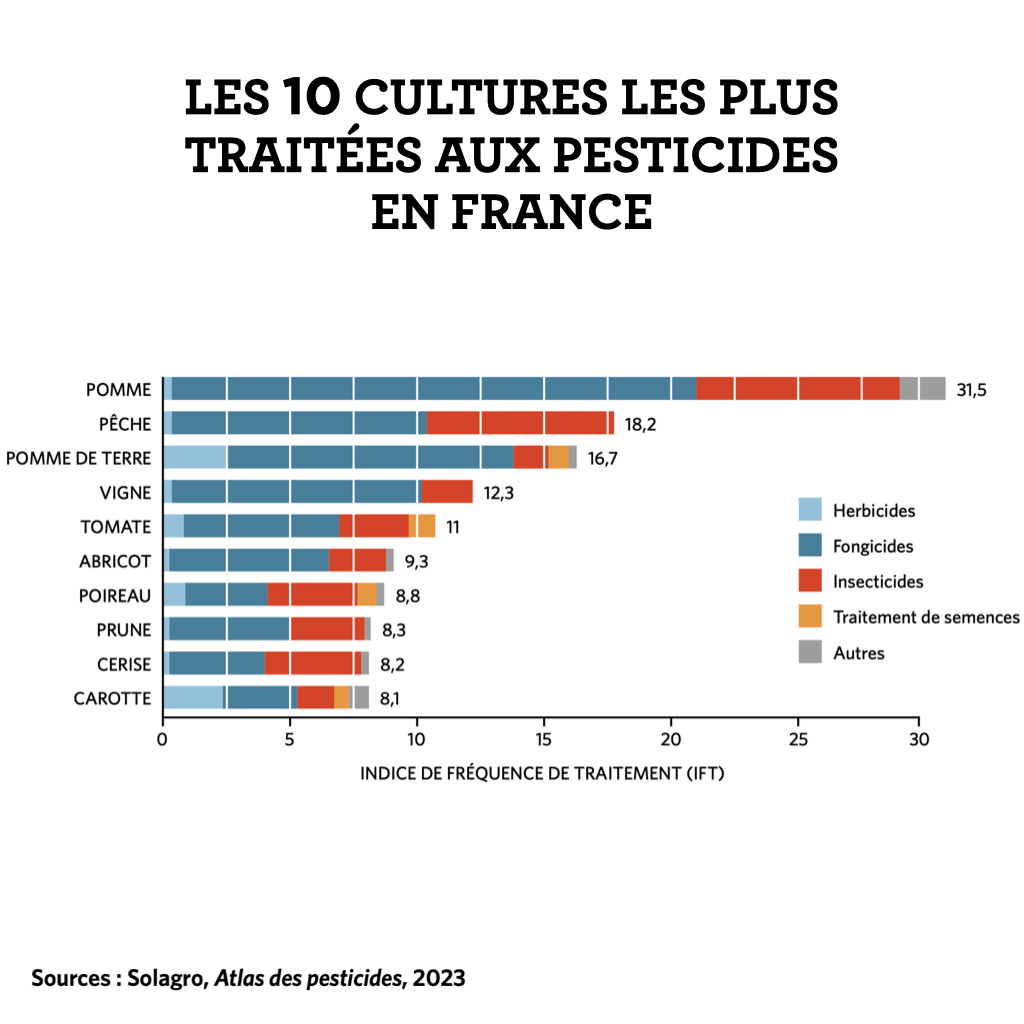 « Les probabilités sont calculées : on tient compte du fait que les personnes les plus sensibles vont tomber malades et mourir » Laurence Huc <a href="/INRAE_France/">INRAE</a>. <a href="/LNSeingier/">Hélène Seingier</a> a mené une enquête sur les conséquences sanitaires de l’exposition aux pesticides. 👉bit.ly/43TrYBZ