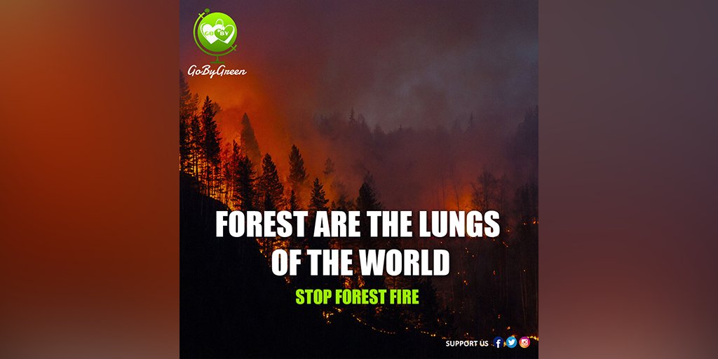 Stop Forest Fire!

#GoByGreen #gobygreenoff #GoByHolidays #gogreen #forestfire #wildfire #fire #forest #firefighter #nature #wildfires #wildlandfirefighter #climatechange #fireseason #firefighters #firefighting #wildland #forestfires #wildlandfire #smoke #wildlandfirefighting