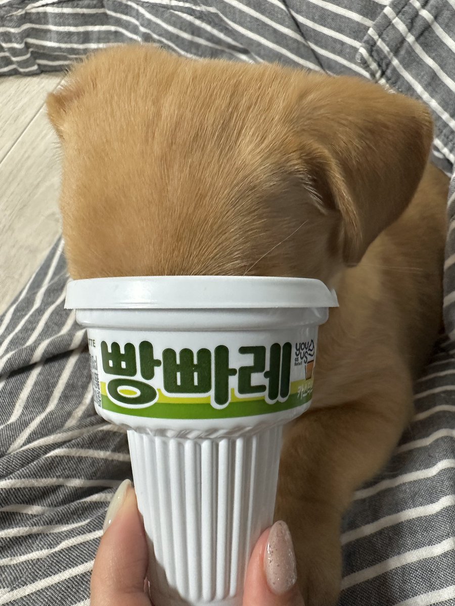 기름이맛 빵빠레 하나 주세요