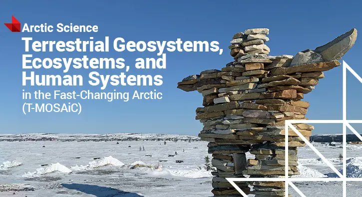 With connections across disciplines, laboratories, nations, cultures, and sites, the T-MOSAiC collection features 16 #OpenAccess papers on the effects of environmental change on Arctic landscapes, terrestrial ecosystems, and northern communities ➡️  buff.ly/3X1UAGN