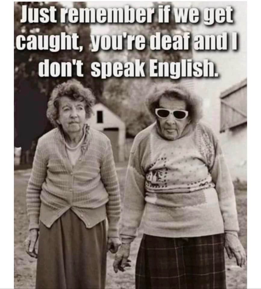 This Thursday <a href="/ResetNft/">RӔset</a> and I will announce our own ponzi scheme.