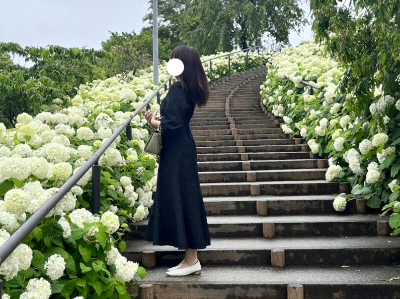 lightcolor_cafe's tweet photo. シンボルプロムナード公園、紫陽花が綺麗に咲いてた⛲️✨
特に階段のところに咲いてる白い紫陽花がお気に入り😌🤍

#日常垢
#日常垢と繋がりたい
#日常垢さんと繋がりたい https://t.co/xO9JmZc7WA