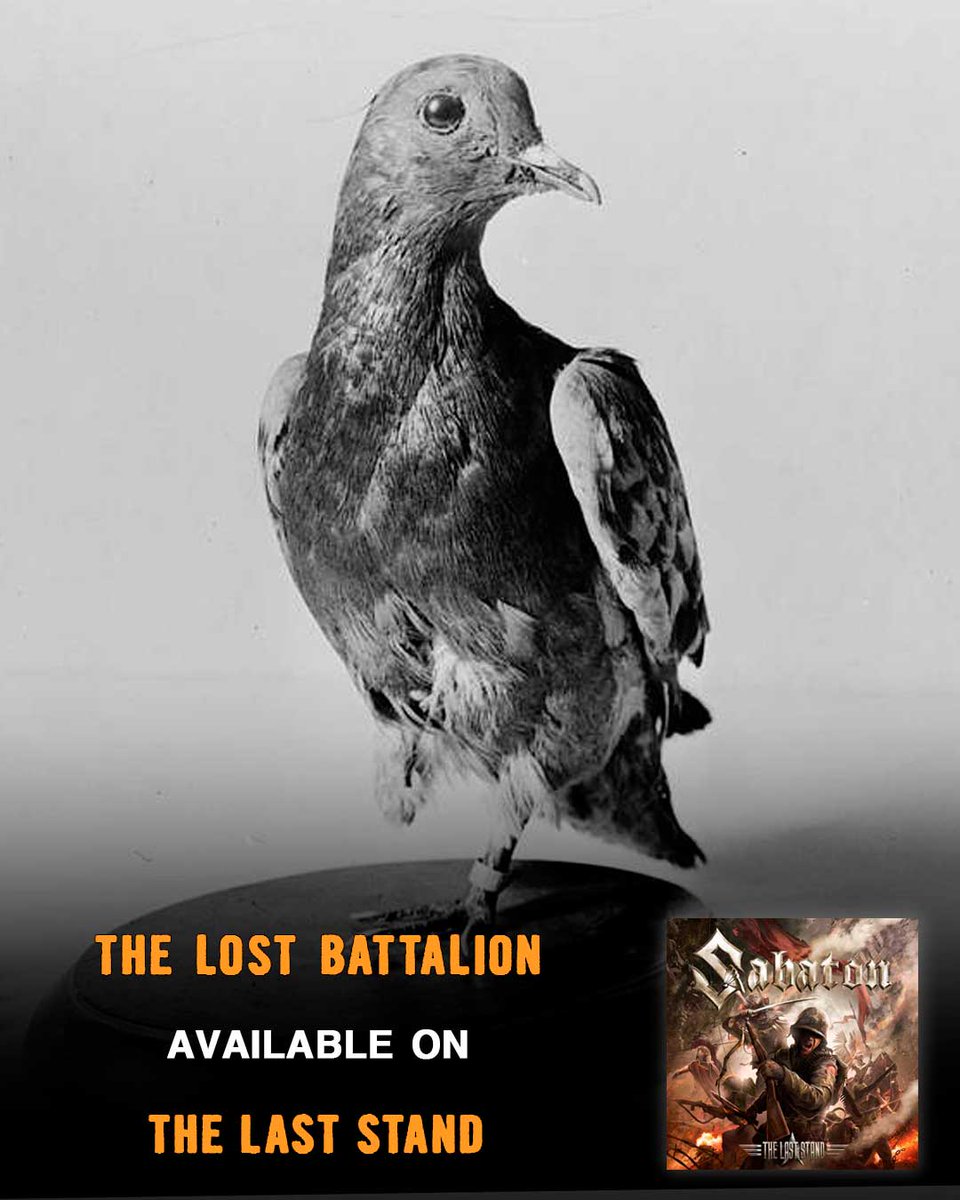 On this day in 1919, Cher Ami died. This carrier pigeon helped save the 77th Infantry Division during the Meuse–Argonne offensive by delivering coordinates while severely injured. Our song, The Lost Battalion was written about this battle. Find out more 👉sabaton.net/historical-fac…