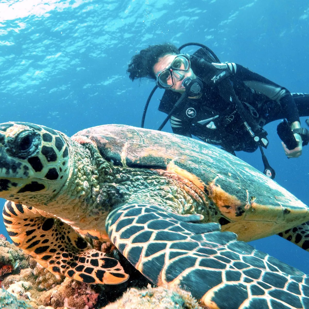 Hello fellow #adventure seekers. We have some very exciting trips across #Africa from #Scuba to #safaris in the bush. Isn't it time you connected with #nature