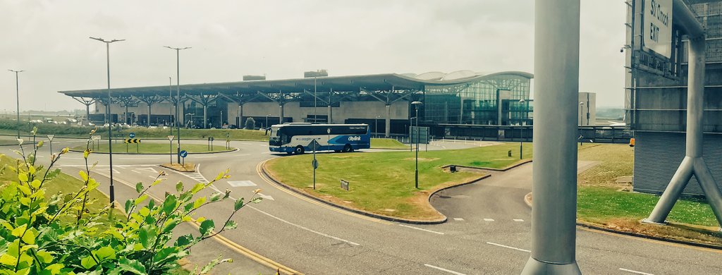 Aislinn O'Driscoll tweet media