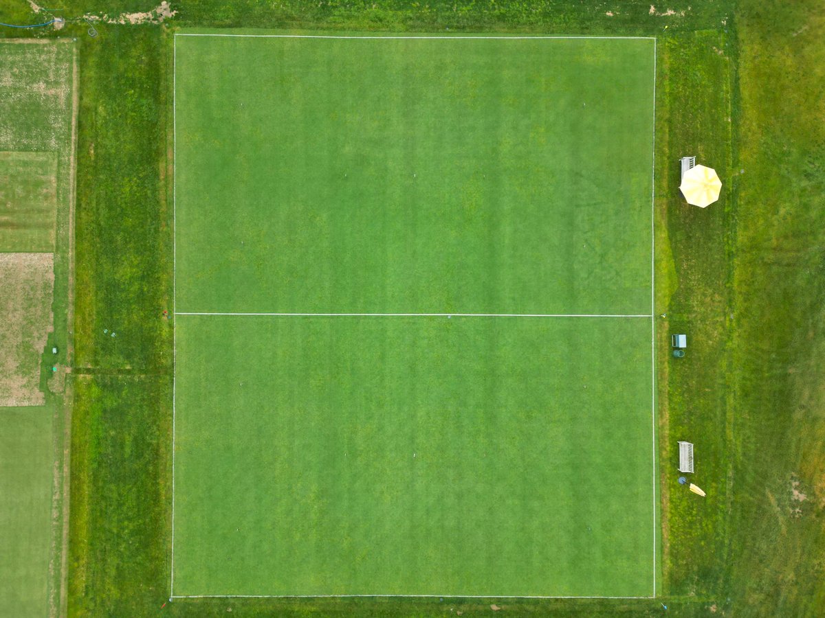 Michael Sheehan tweet media