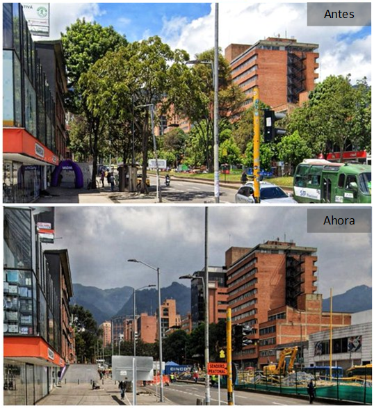 Santiago_S's tweet photo. ¿Por qué @Bogota no tendrá la capacidad de diseñar en función también del arbolado?

Estamos talando individuos de 30, 40 o + años, por hacer una acera o una vía. Nos acostumbramos a volver la ciudad un peladero sin vida, plagado de cemento, buses y autos.

¿Bogotá sostenible? 🤔 https://t.co/e8M6ySFIQY