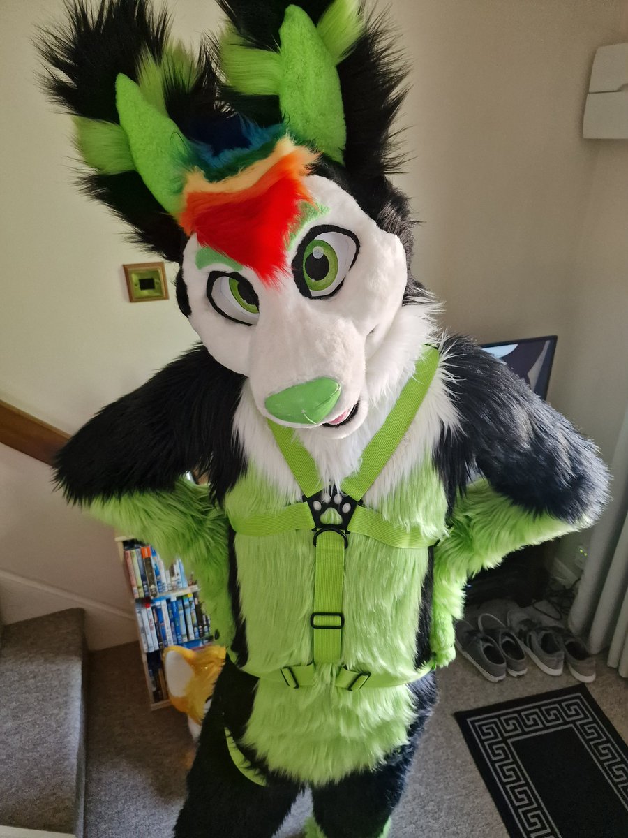 Go on… give it a tug. I won’t bite 😇

Loving my first harness from <a href="/Crunchycurl/">Crunchycurl</a> 

📸:<a href="/InfinityFloof/">Infinity</a>