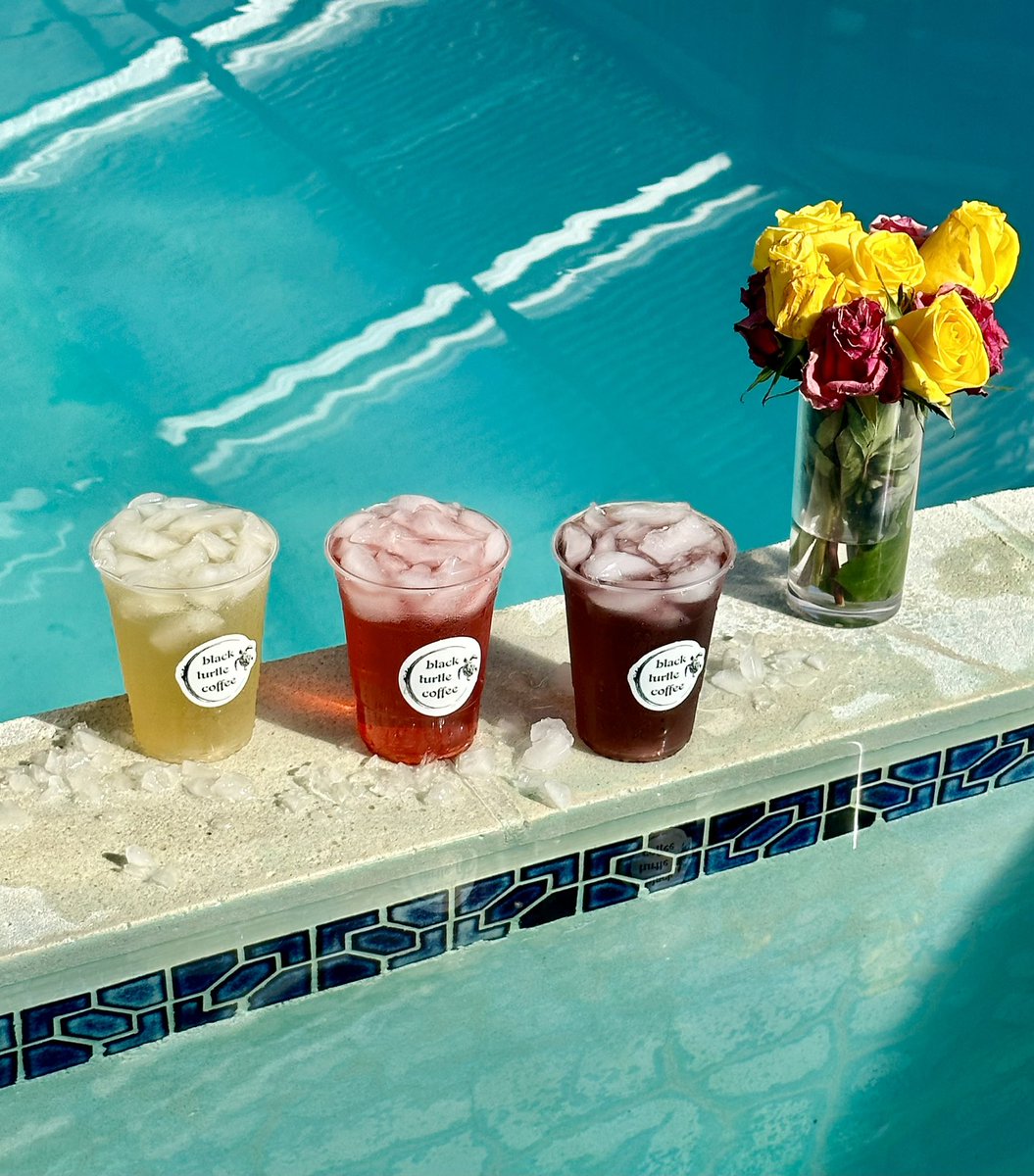 blkturtlecoffee's tweet photo. Ice Ice Baby! Summer is here and we have something exciting and new just for YOU! 🧊🧊 

#BlackTurtleCoffee #BTCRefresher #SummerBeverage #iceicebaby https://t.co/HIAej5q6PC