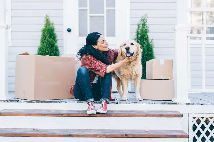 Scott_MNRealtor's tweet photo. Buying a house for the first time? Here's help for meeting the qualifications. #buyahome #mortgagetips  https://t.co/xQRLo5kXOV https://t.co/vBwA30d7H5