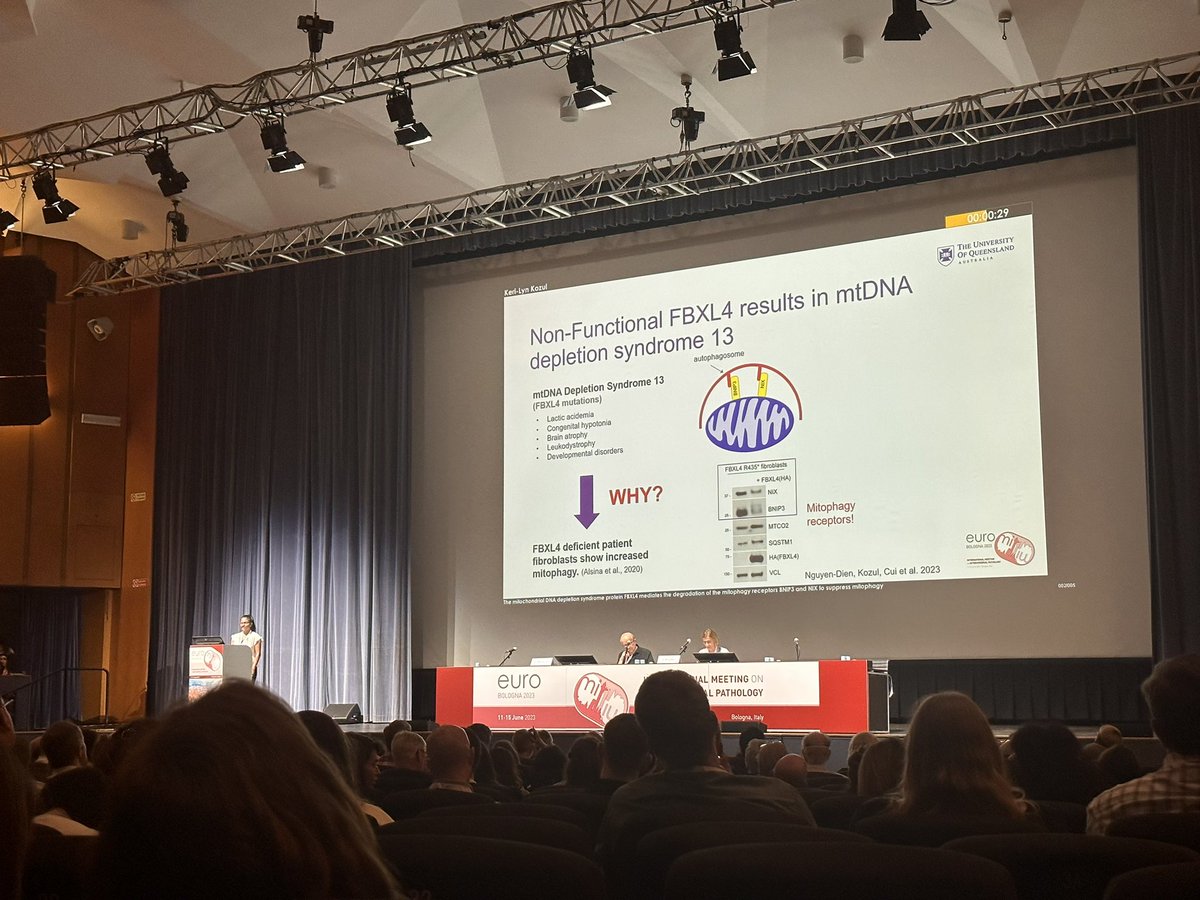 PhD students Megan Baker and @Jordan_Crameri from @DrDStojanovski lab and @KeriKozul from @LabPagan flying the flag for Australian mito research at @Euromit2023 in Bologna, Italy. @AusMito