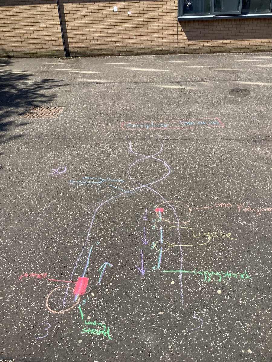 Sunny lessons☀️ <a href="/LHS_Science_/">LHS Science</a>
