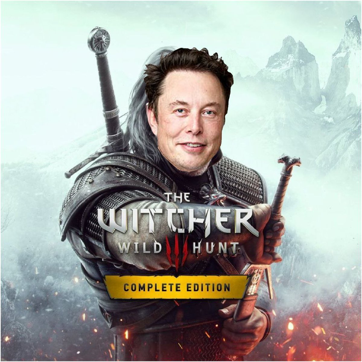 TheWitcherFancoin tweet media
