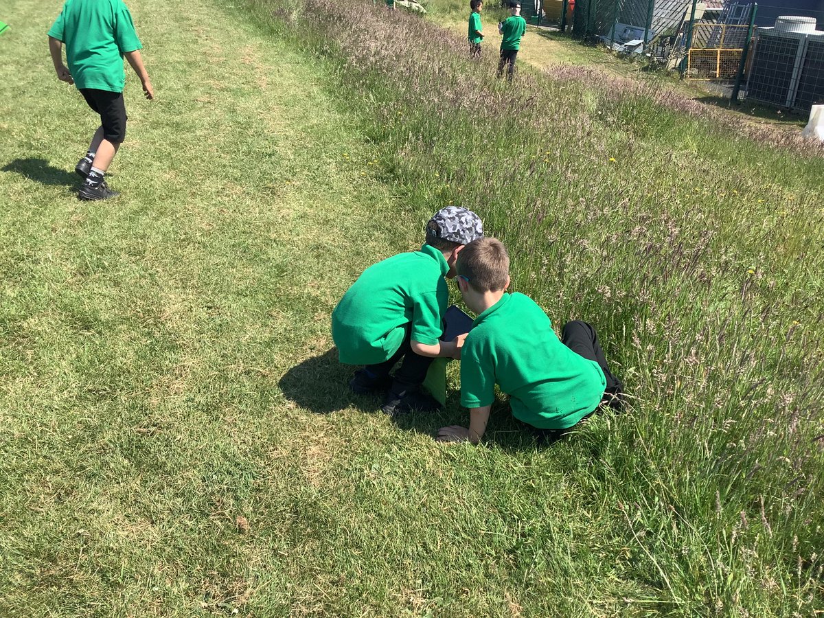 Year2_BDP tweet media