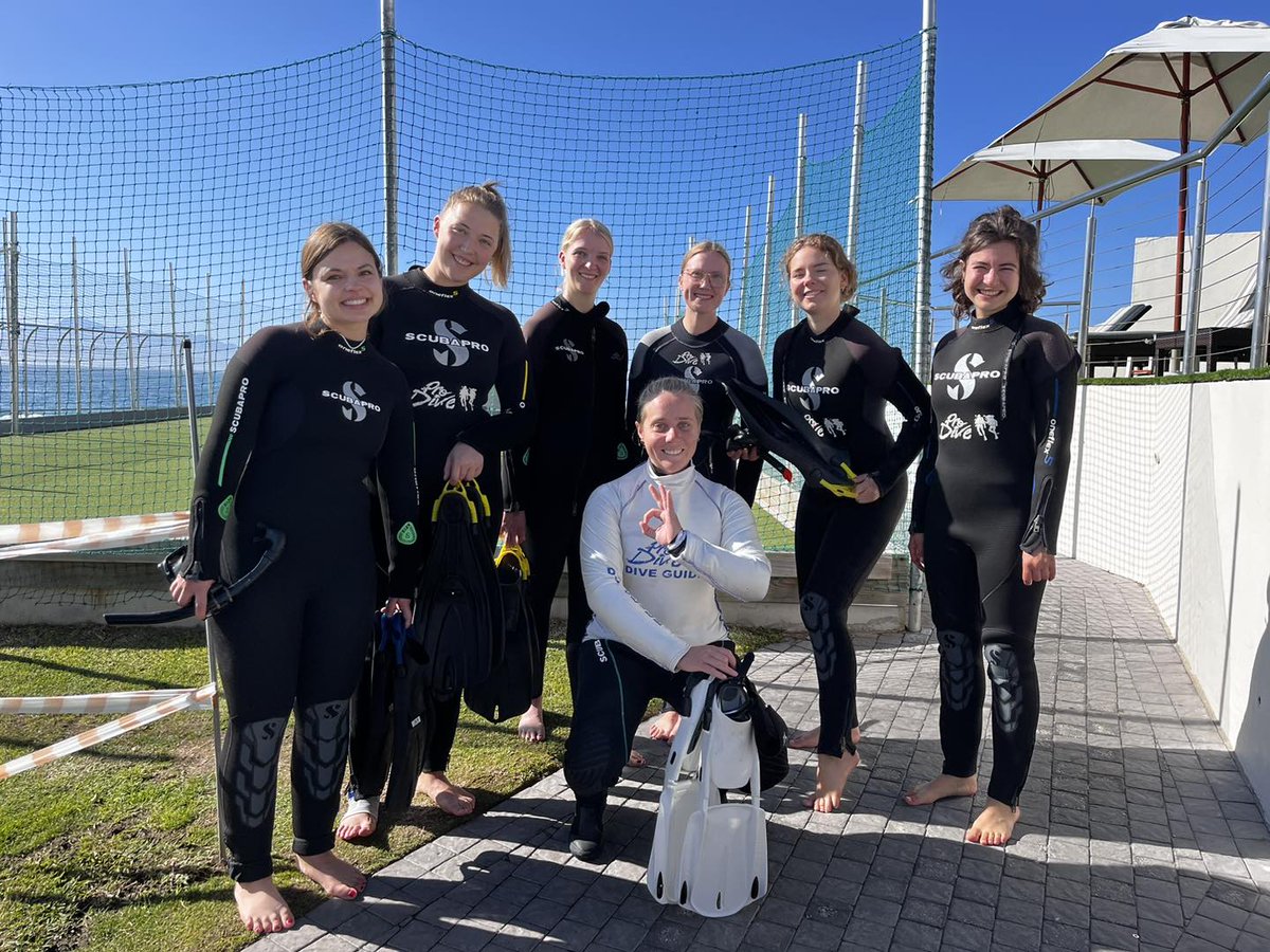 Plett Tourism tweet media