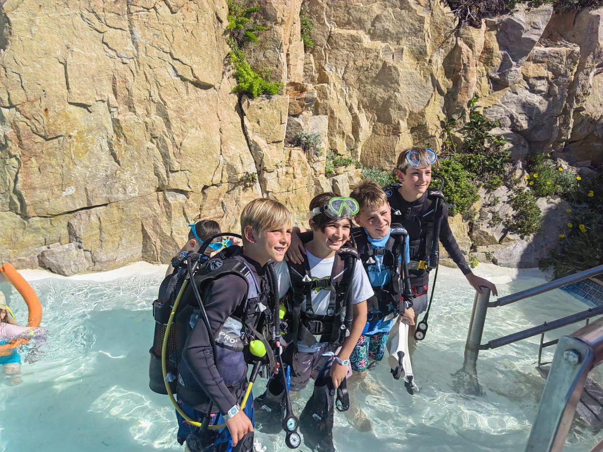 Plett Tourism tweet media