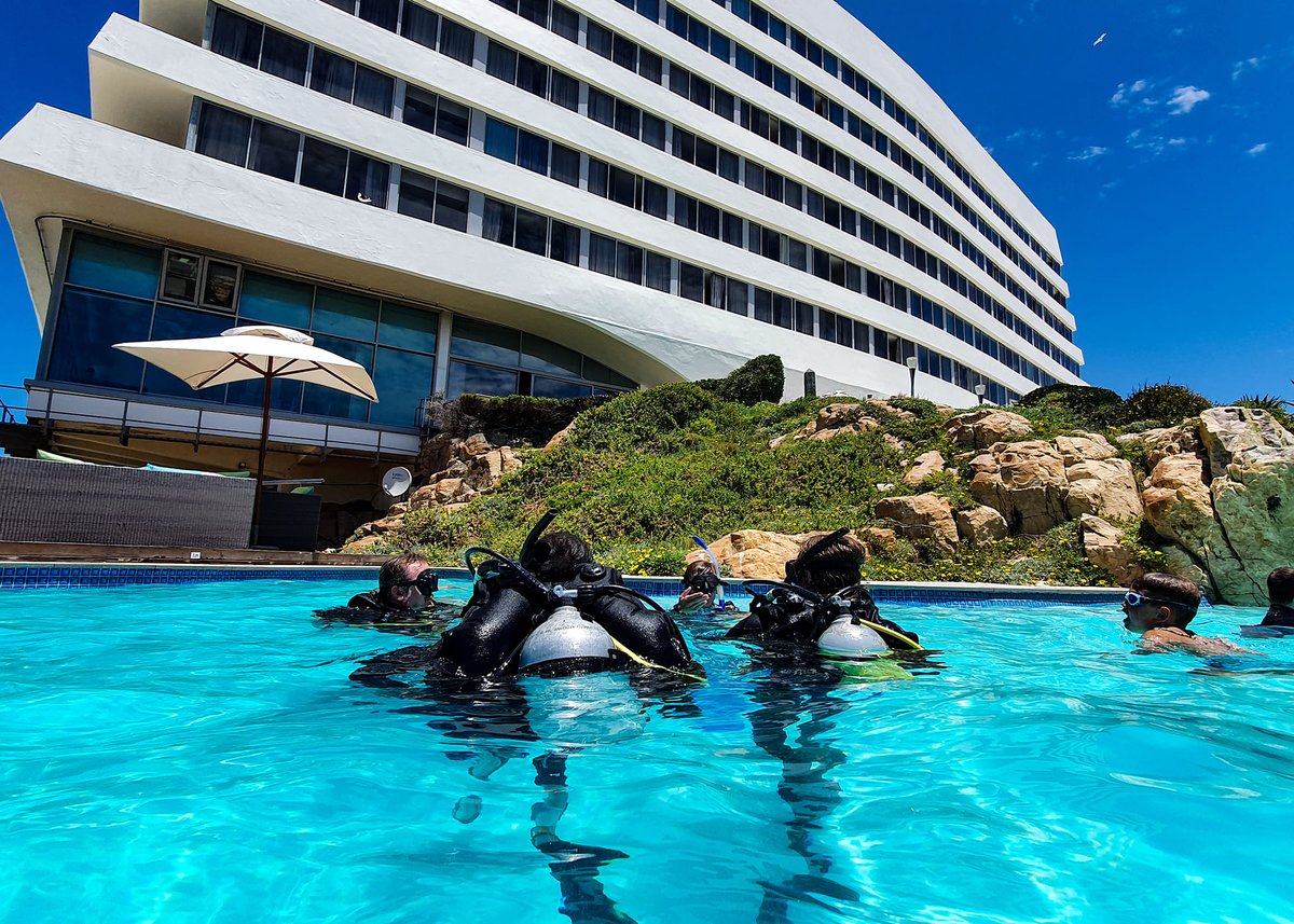 Plett Tourism tweet media