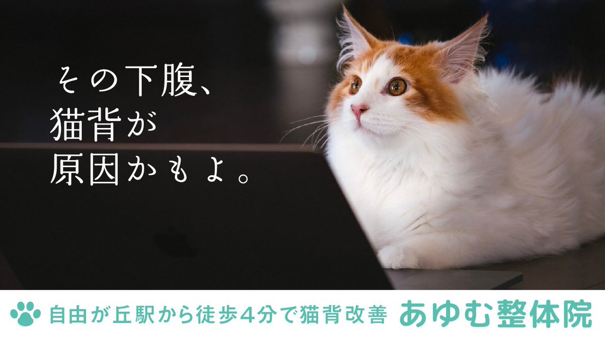 10mikan20's tweet photo. 「その下腹、猫背が原因かもよ。」

ぽっこり下腹が改善されない人、猫背じゃないですか？

猫背の人に向けたコピーを書きました。
あゆむ整体院（ @ayumu_seitai  ）さんでは猫背を改善に導く施術を受けられます！

猫背に関する記事もあります📝
https://t.co/DawkleuOAO

#もくコピー https://t.co/q6I06FjtkH