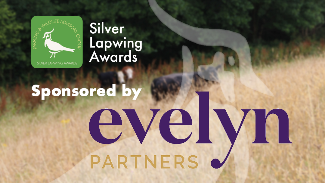 FWAG Association (@fwagassoc) on Twitter photo We are very excited to be holding the Silver Lapwing Awards 2023 at Strickley, the dairy farm that was awarded the Silver Lapwing Award last year.
Look out for more buzz from the Awards later this month!
This year's Awards have been kindly sponsored by <a href="/evelynpartners/">Evelyn Partners</a> We are very excited to be holding the Silver Lapwing Awards 2023 at Strickley, the dairy farm that was awarded the Silver Lapwing Award last year.
Look out for more buzz from the Awards later this month!
This year's Awards have been kindly sponsored by <a href="/evelynpartners/">Evelyn Partners</a>