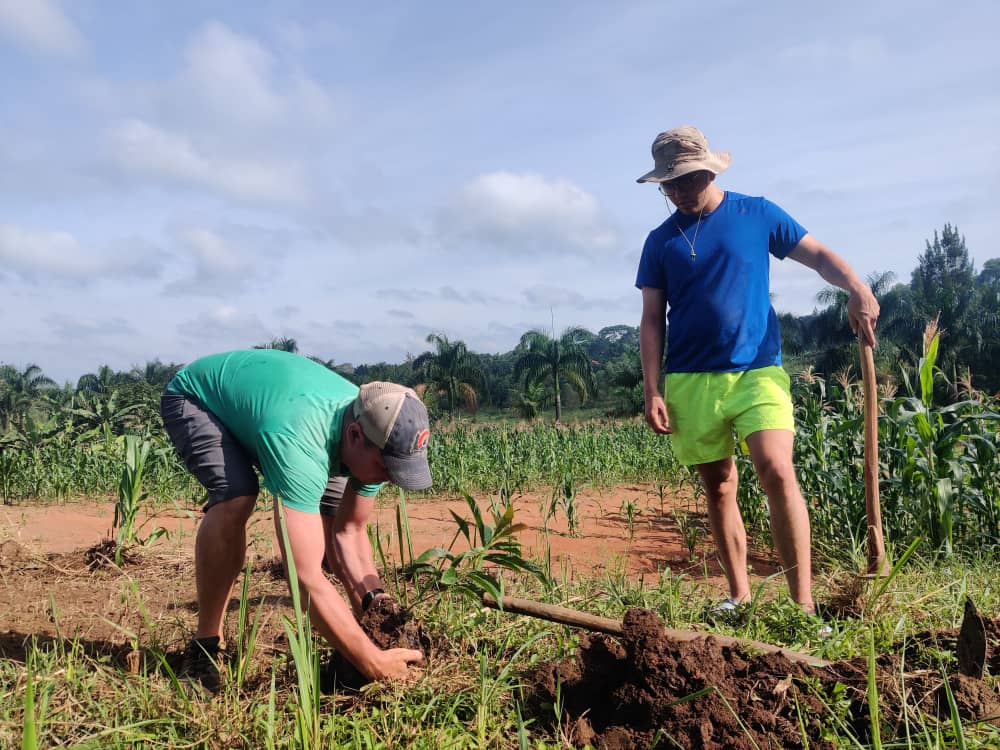 Schools Tree Project on Twitter: 