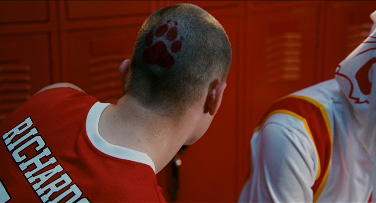 Wildcat Minute tweet media