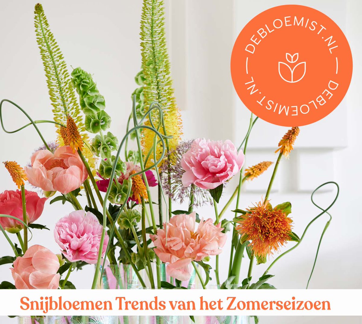 Ontdek de nieuwste Snijbloemen Trends van het Zomerseizoen in ons laatste blog.

ow.ly/pbR750OMVjA