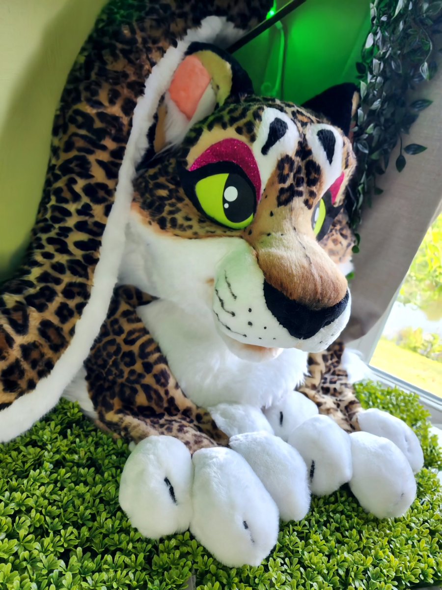 TBarkCreations's tweet image. Are you going to #anthrocon2023 ?

Looking for a partial to party around in? 
This beauty is now up for auction! 

Go pick her up and be the Belle of the ball!

Link and details below ⬇️

#fursuit # fursuitmaker #furry #fursuitforsale