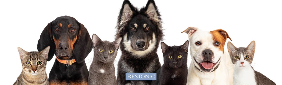 Do you sleep with a pet? There are some reasons why it might be good for you - but some reasons why it's dangerous too: ow.ly/PZc3M #sleepblog