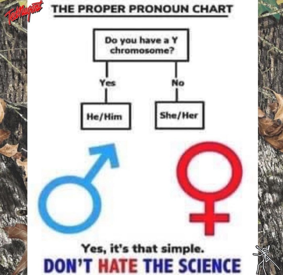 Proper Pronouns * Simple Science For Hypocrites. 

For all you 'folks' out there like Judge Jackson, who can not identify a woman because you are not a biologist.  Here is some help with that most difficult question.  
Y chromosome = male sports!