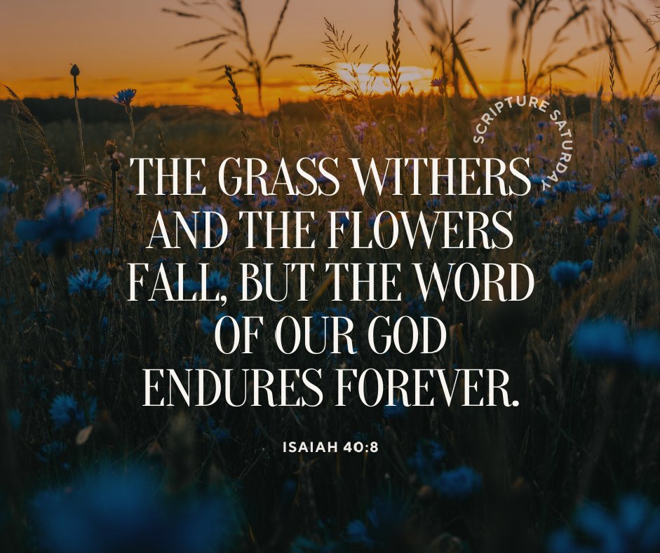 persecutionnews's tweet image. Circumstances may change; God’s word remains steadfast. Let us live with boldness, trusting in a God who is the same yesterday, today, and forever. #ScriptureSaturday