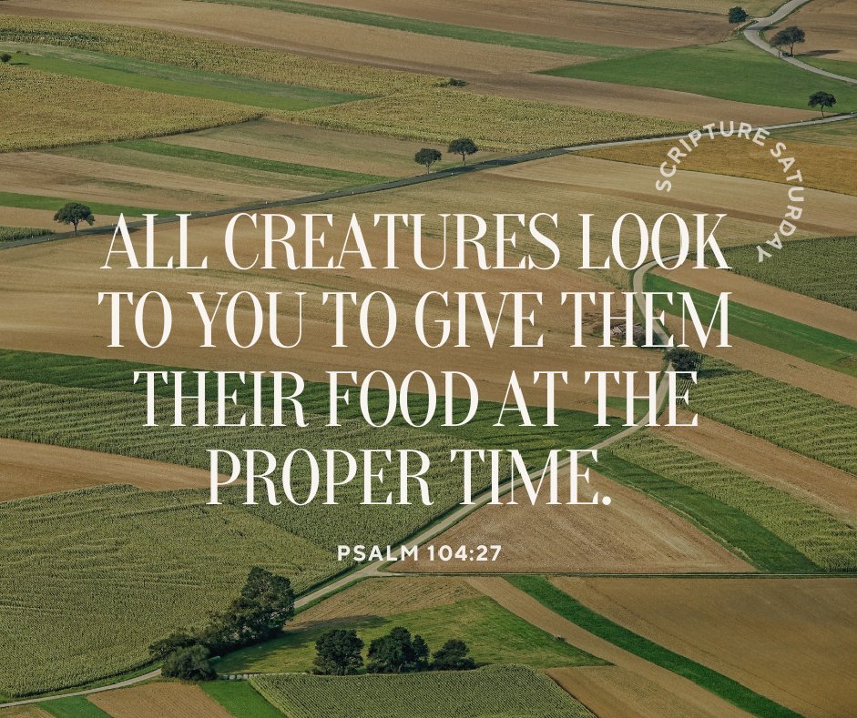 persecutionnews's tweet image. If God provides for the animals, how much more deeply does he care for His children? Let us walk in the confidence of our Lord’s love and provision. #ScriptureSaturday