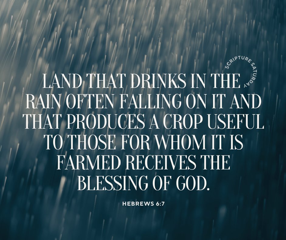 persecutionnews's tweet image. God’s provision is never-failing. In the midst of life&apos;s storms, remember that just as God nourishes the earth by rain, you too can find revival in the Living Water. God’s provision never fails. #ScriptureSaturday