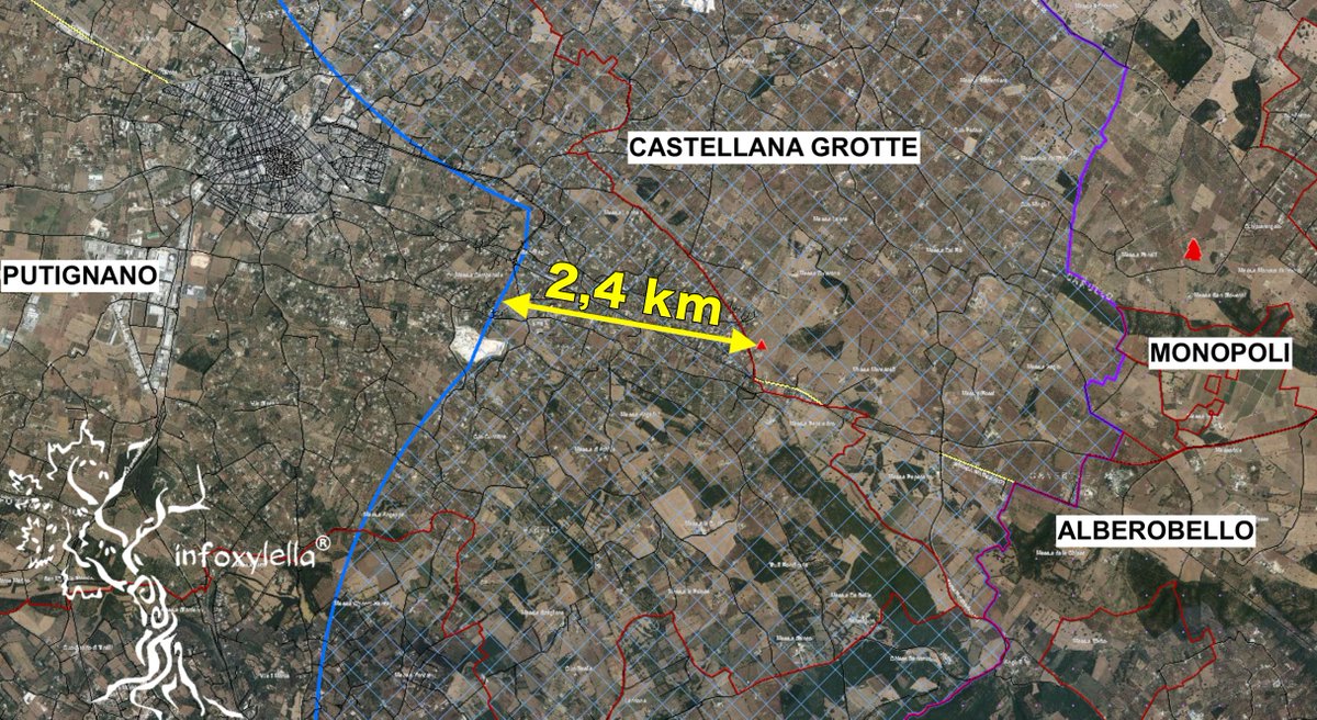 InfoxylellaI's tweet photo. AGGIORNAMENTO #𝐌𝐎𝐍𝐈𝐓𝐎𝐑𝐀𝐆𝐆𝐈𝐎 #𝐗𝐘𝐋𝐄𝐋𝐋𝐀 – ALTRI 12 OLIVI INFETTI TRA #CASTELLANA E #ALBEROBELLO; NUOVO #FOCOLAIO A 4 KM DA #PUTIGNANO

+ info: https://t.co/BFUgt8Adpx https://t.co/JtJBKh4ASX