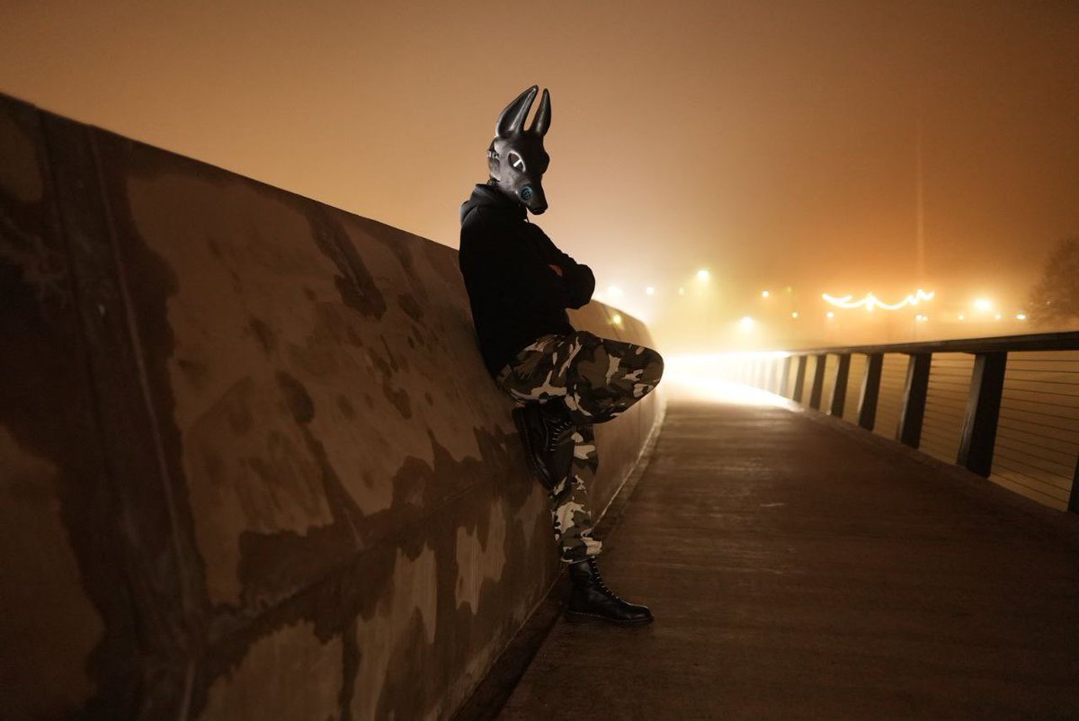 JackalWandering's tweet photo. Always be careful when walking in the fog. You just never know when you might be spotted by me. https://t.co/NL0k7ENScX