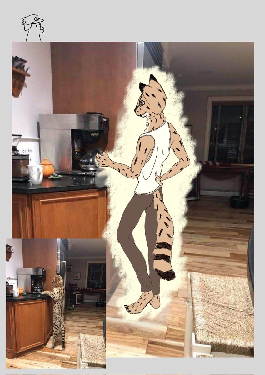 Dont talk to the long cat boi till he's had his coffee