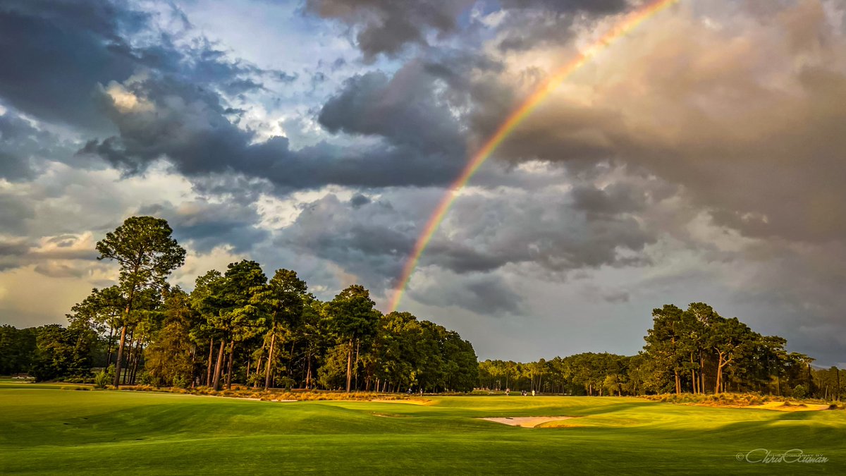Pinehurst Resort tweet media
