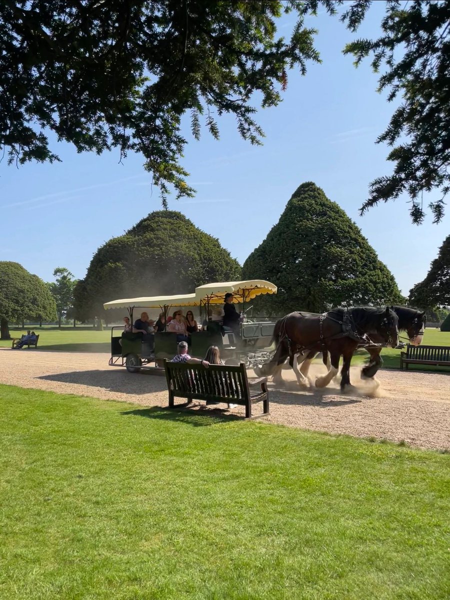 90_frog's tweet image. I'll take the carriage, too😍