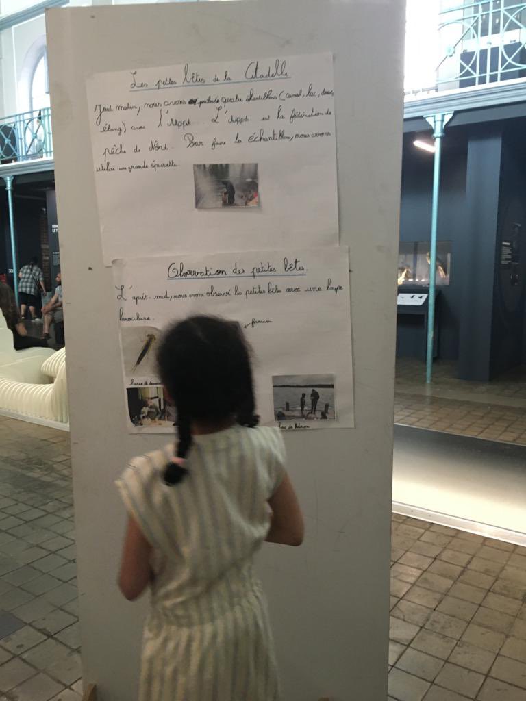 judith_p tweet media