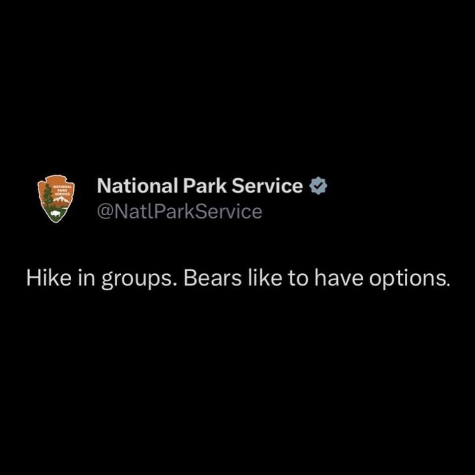 TN_Vos's tweet photo. 🐻 🐾 https://t.co/vCjJmODGfZ