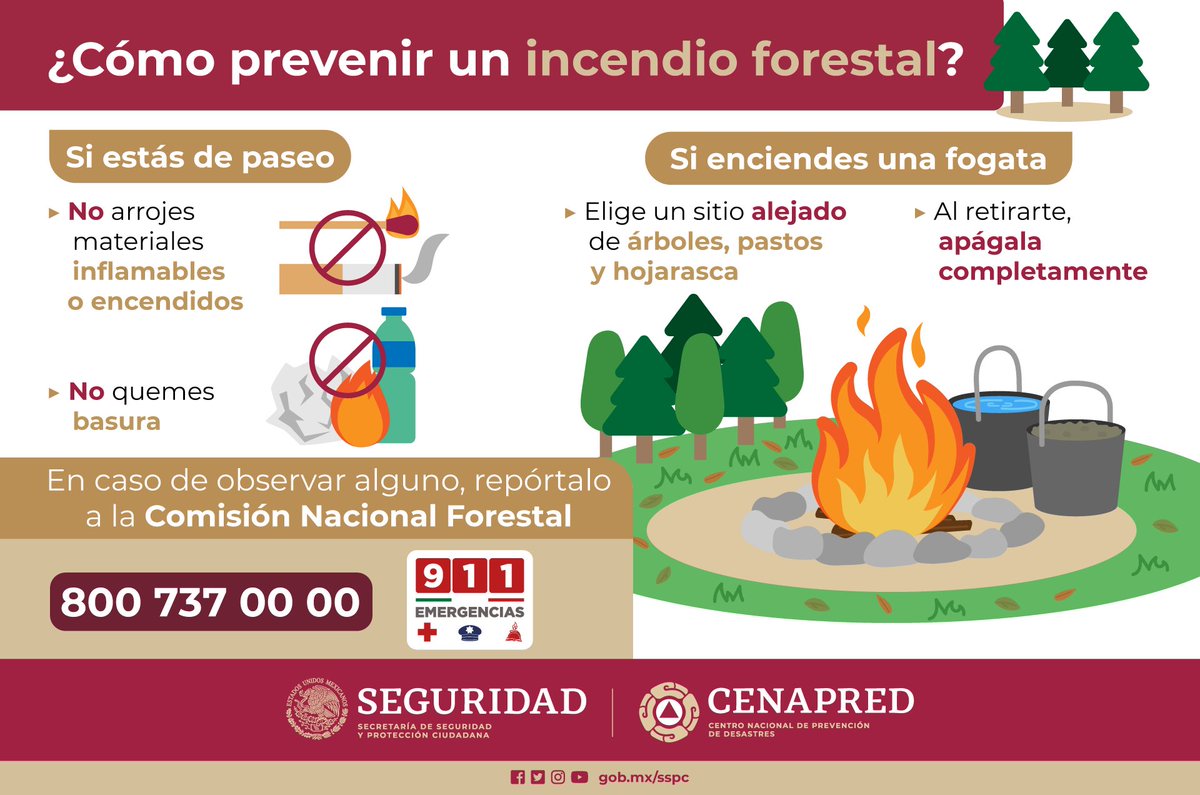 Compartimos estas recomendaciones para prevenir un #IncendioForestal.