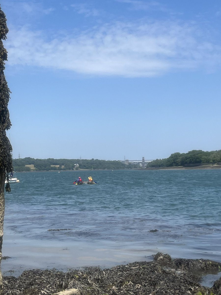 PHS Y6 Transition tweet media