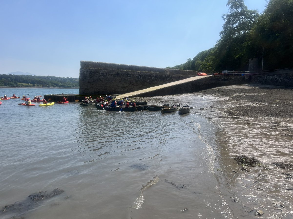 PHS Y6 Transition tweet media