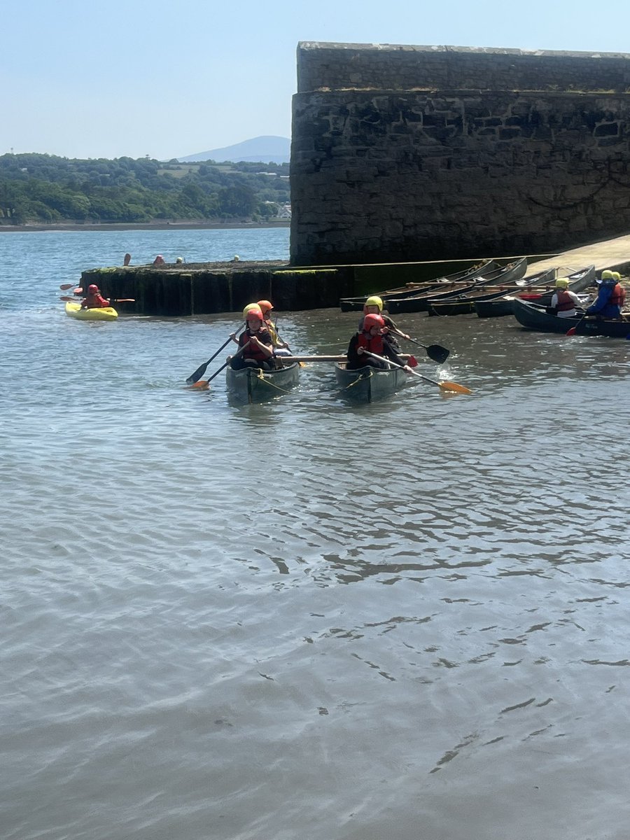 PHS Y6 Transition tweet media