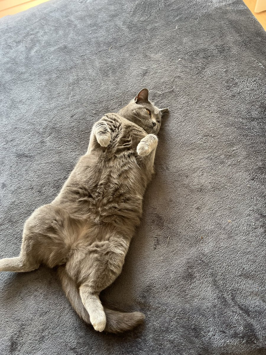 Tᖾᥱ́o ☁️ tweet media