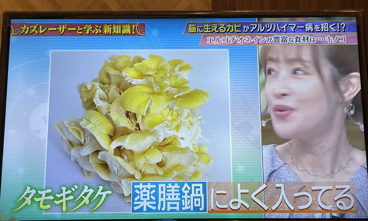 raimu20230405's tweet photo. コーヒー豆につくカビ毒
防腐剤のない化粧品のカビ
カビが増えない清潔な家庭環境が大事！

エルゴチオネインの食材
タモギダケ💡
培養でスーパーにもあるような一般的なキノコ🍄なんや
熱に強い！これはいい
 #カズレーザーと学ぶ https://t.co/UAld01DyOM