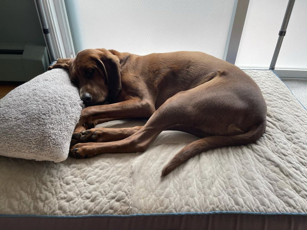 alisonhagadorn's tweet image. #howdoyousummer #staycations #pooltimefun #accPartner