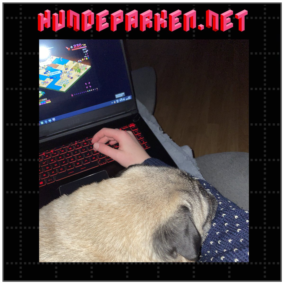 HPOffisiell's tweet photo. Hundeparken er et sted for alle, uansett farge, kjønn eller rase! Vi kan desverre ikke gjøre deg om til en hund på ekte, men vi kan se bilder delt av våre brukere og deres kjæledyr på hundeparken's offisielle discord.  

▶️https://t.co/N0Zhew1DKN

#hundeparkendk #hundeparkennet https://t.co/3YNu5IobDv