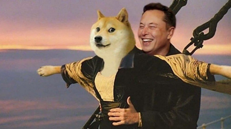 JUST IN: <a href="/elonmusk/">Elon Musk</a> reveals stats showing that 85% of ALL Twitter users are crypto-moonboys.