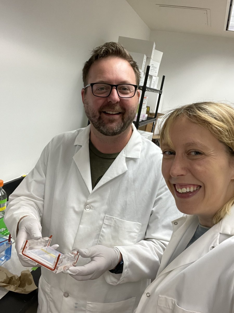 Clare Andvik tweet media