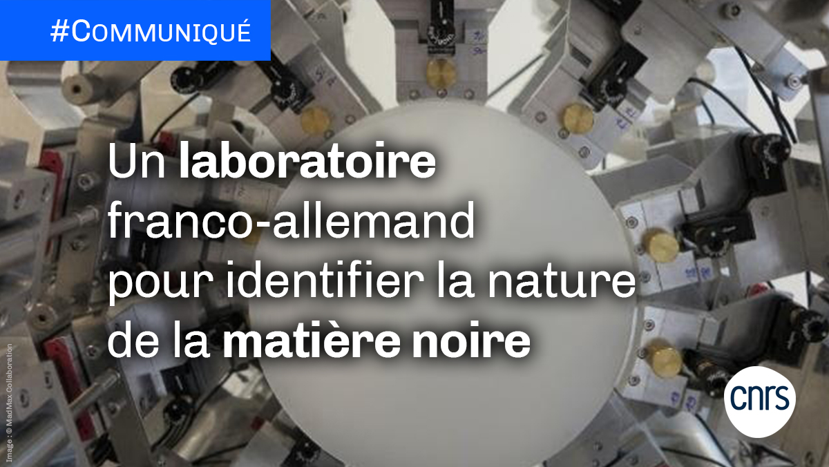 CNRS's tweet photo. #Communiqué 🗞 Le @CNRS et des centres de recherche allemands de l’@helmholtz_de se sont associés pour créer le Dark Matter Lab (DMLab), un International Research Laboratory (IRL) dédié à la recherche sur la matière noire.
➡ https://t.co/m6n5qcGRbU https://t.co/QR3tcO9RqQ